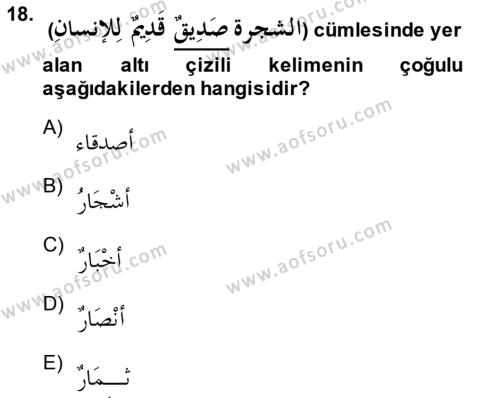 Arapça 1 Dersi 2014 - 2015 Yılı (Vize) Ara Sınavı 18. Soru