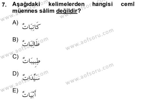 Arapça 1 Dersi 2014 - 2015 Yılı (Vize) Ara Sınavı 7. Soru