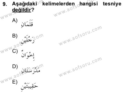 Arapça 1 Dersi 2014 - 2015 Yılı (Vize) Ara Sınavı 9. Soru