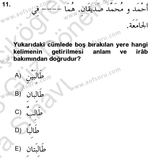 Arapça 1 Dersi 2022 - 2023 Yılı (Vize) Ara Sınavı 11. Soru