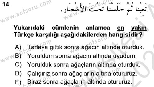 Arapça 1 Dersi 2022 - 2023 Yılı (Vize) Ara Sınavı 14. Soru