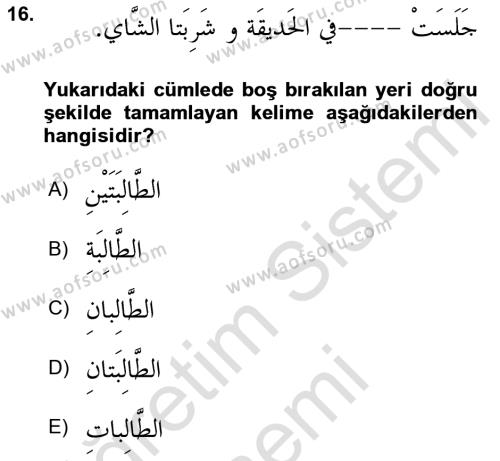 Arapça 1 Dersi 2022 - 2023 Yılı (Vize) Ara Sınavı 16. Soru