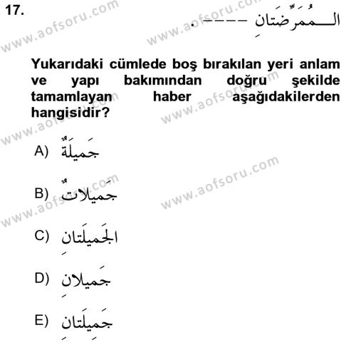 Arapça 1 Dersi 2022 - 2023 Yılı (Vize) Ara Sınavı 17. Soru