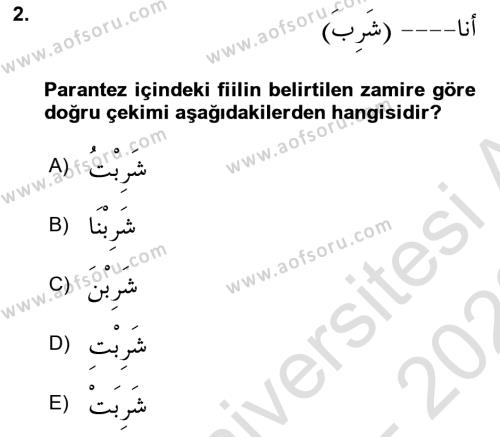 Arapça 1 Dersi 2022 - 2023 Yılı (Vize) Ara Sınavı 2. Soru