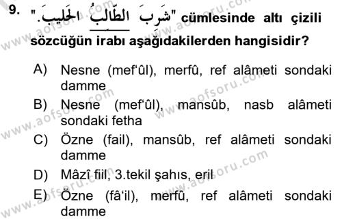 Arapça 1 Dersi 2022 - 2023 Yılı (Vize) Ara Sınavı 9. Soru