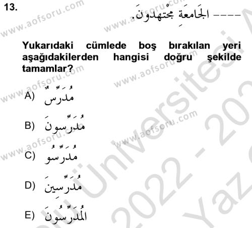 Arapça 1 Dersi 2022 - 2023 Yılı Yaz Okulu Sınavı 13. Soru