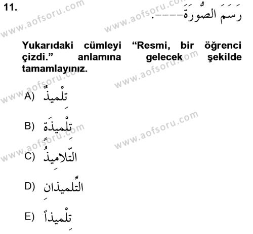 Arapça 1 Dersi 2023 - 2024 Yılı (Vize) Ara Sınavı 11. Soru
