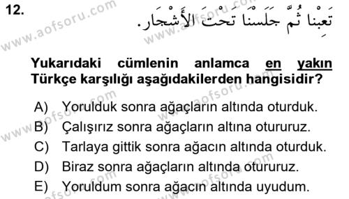Arapça 1 Dersi 2023 - 2024 Yılı (Vize) Ara Sınavı 12. Soru