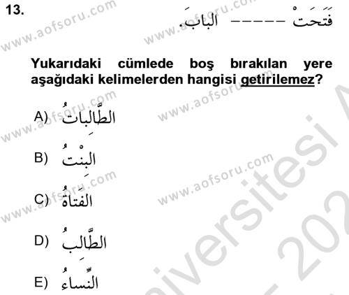 Arapça 1 Dersi 2023 - 2024 Yılı (Vize) Ara Sınavı 13. Soru