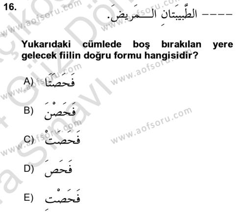 Arapça 1 Dersi 2023 - 2024 Yılı (Vize) Ara Sınavı 16. Soru