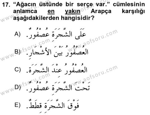 Arapça 1 Dersi 2023 - 2024 Yılı (Vize) Ara Sınavı 17. Soru