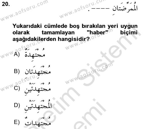 Arapça 1 Dersi 2023 - 2024 Yılı (Vize) Ara Sınavı 20. Soru