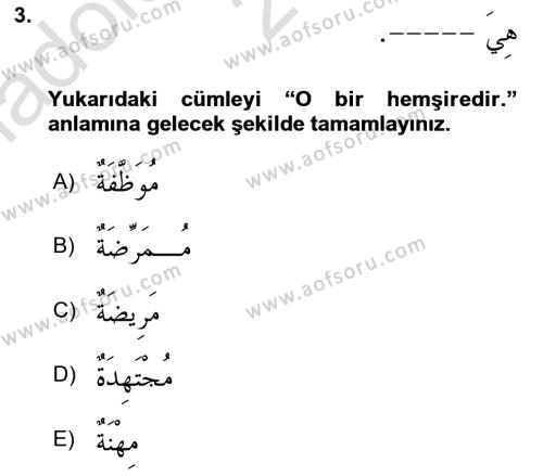 Arapça 1 Dersi 2023 - 2024 Yılı (Vize) Ara Sınavı 3. Soru