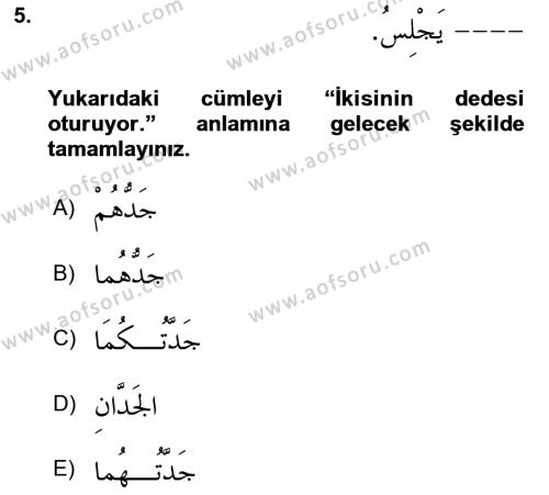 Arapça 1 Dersi 2023 - 2024 Yılı (Vize) Ara Sınavı 5. Soru