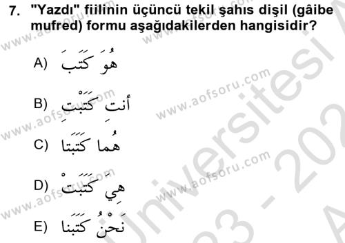 Arapça 1 Dersi 2023 - 2024 Yılı (Vize) Ara Sınavı 7. Soru