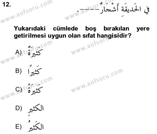 Arapça 1 Dersi 2023 - 2024 Yılı (Final) Dönem Sonu Sınavı 12. Soru