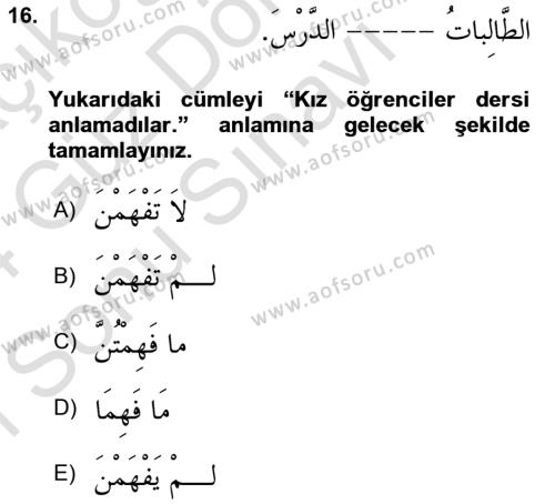 Arapça 1 Dersi 2023 - 2024 Yılı (Final) Dönem Sonu Sınavı 16. Soru