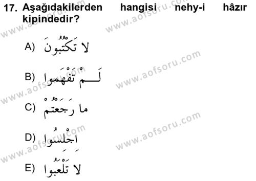 Arapça 1 Dersi 2023 - 2024 Yılı (Final) Dönem Sonu Sınavı 17. Soru