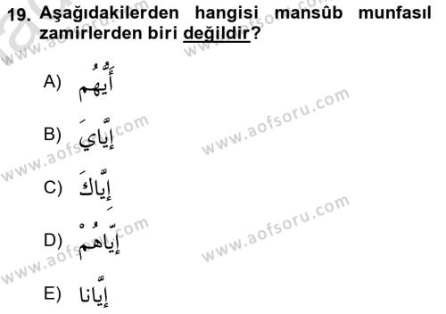 Arapça 1 Dersi 2023 - 2024 Yılı (Final) Dönem Sonu Sınavı 19. Soru