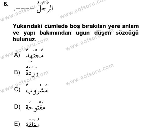 Arapça 1 Dersi 2023 - 2024 Yılı (Final) Dönem Sonu Sınavı 6. Soru