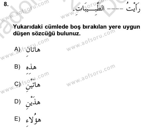 Arapça 1 Dersi 2023 - 2024 Yılı (Final) Dönem Sonu Sınavı 8. Soru