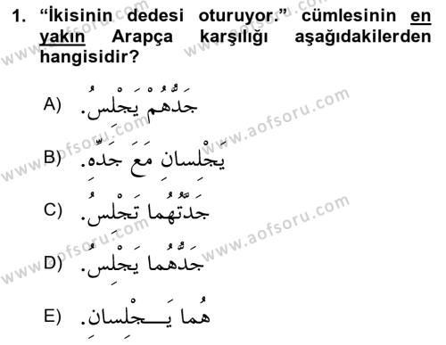Arapça 1 Dersi 2023 - 2024 Yılı Yaz Okulu Sınavı 1. Soru