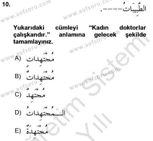 Arapça 1 Dersi 2023 - 2024 Yılı Yaz Okulu Sınavı 10. Soru