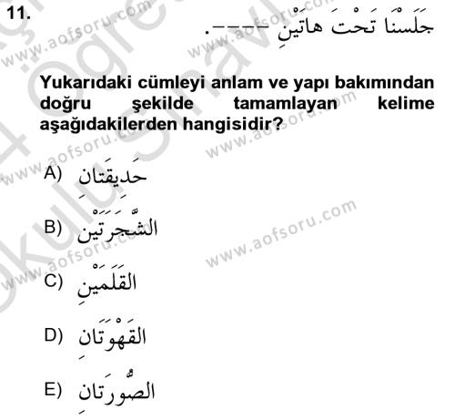 Arapça 1 Dersi 2023 - 2024 Yılı Yaz Okulu Sınavı 11. Soru