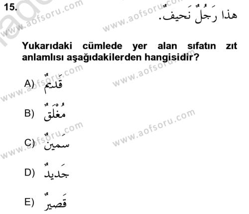 Arapça 1 Dersi 2023 - 2024 Yılı Yaz Okulu Sınavı 15. Soru