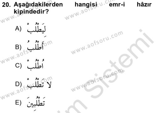 Arapça 1 Dersi 2023 - 2024 Yılı Yaz Okulu Sınavı 20. Soru
