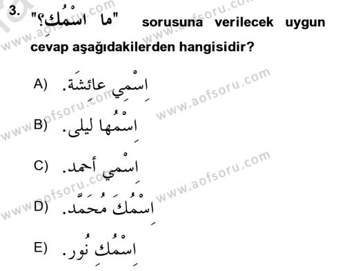 Arapça 1 Dersi 2023 - 2024 Yılı Yaz Okulu Sınavı 3. Soru