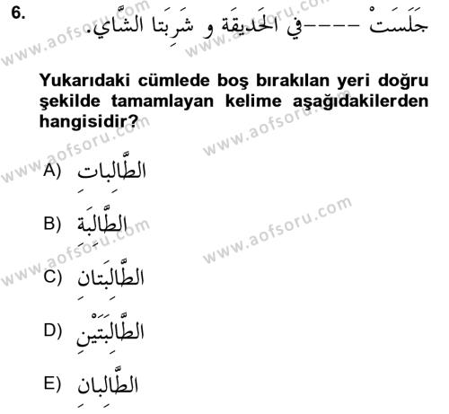 Arapça 1 Dersi 2023 - 2024 Yılı Yaz Okulu Sınavı 6. Soru