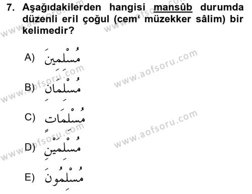 Arapça 1 Dersi 2023 - 2024 Yılı Yaz Okulu Sınavı 7. Soru