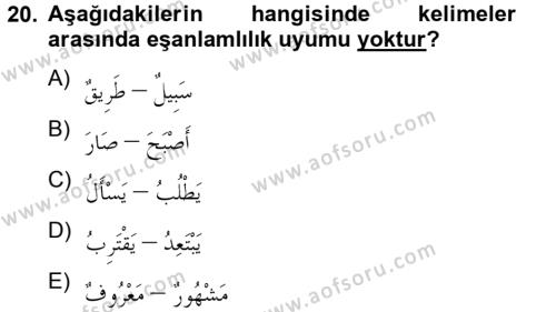Arapça 2 Dersi 2012 - 2013 Yılı (Vize) Ara Sınavı 20. Soru