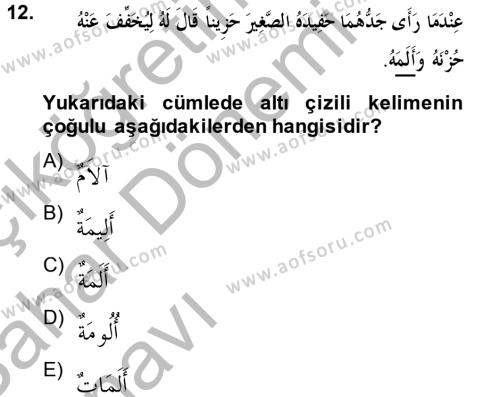 Arapça 2 Dersi 2013 - 2014 Yılı (Vize) Ara Sınavı 12. Soru