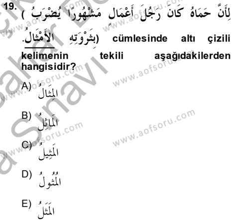 Arapça 2 Dersi 2013 - 2014 Yılı (Vize) Ara Sınavı 19. Soru