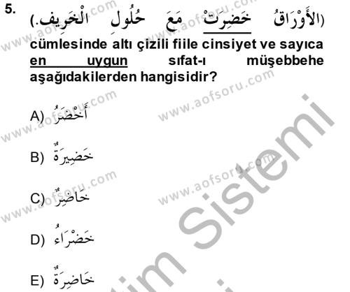 Arapça 2 Dersi 2013 - 2014 Yılı (Vize) Ara Sınavı 5. Soru