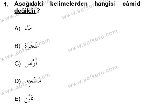 Arapça 2 Dersi 2014 - 2015 Yılı (Vize) Ara Sınavı 1. Soru