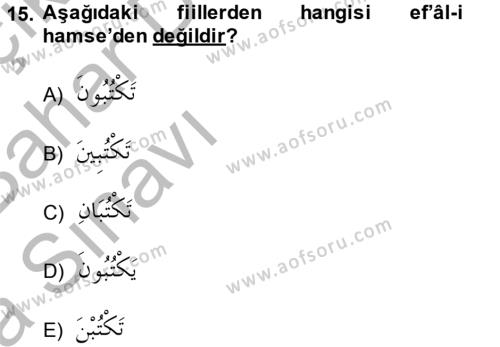 Arapça 2 Dersi 2014 - 2015 Yılı (Vize) Ara Sınavı 15. Soru