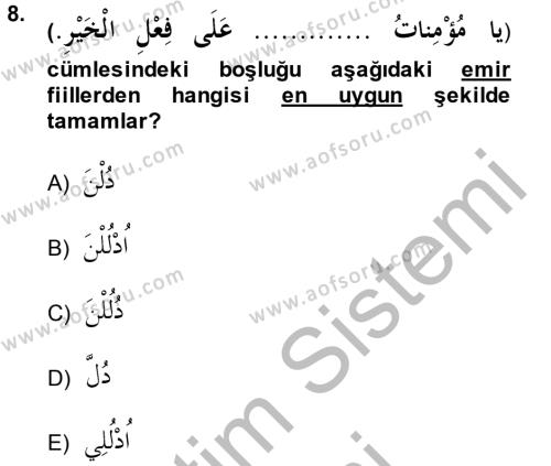 Arapça 2 Dersi 2014 - 2015 Yılı (Vize) Ara Sınavı 8. Soru