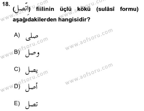 Arapça 2 Dersi 2020 - 2021 Yılı Yaz Okulu Sınavı 18. Soru