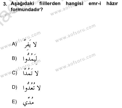 Arapça 2 Dersi 2020 - 2021 Yılı Yaz Okulu Sınavı 3. Soru