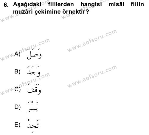 Arapça 2 Dersi 2020 - 2021 Yılı Yaz Okulu Sınavı 6. Soru