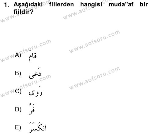 Arapça 2 Dersi 2021 - 2022 Yılı (Vize) Ara Sınavı 1. Soru