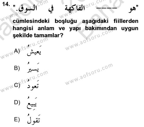 Arapça 2 Dersi 2021 - 2022 Yılı (Vize) Ara Sınavı 14. Soru