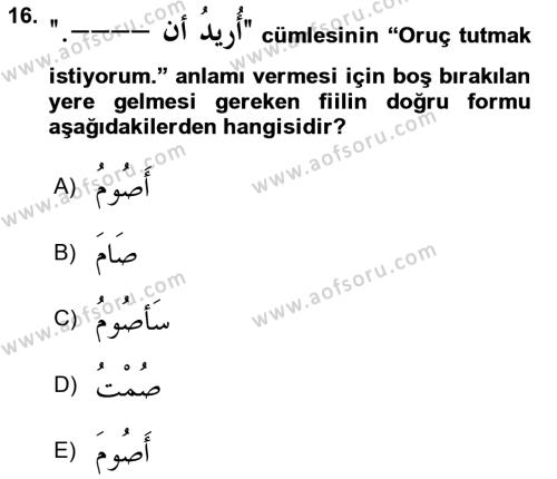 Arapça 2 Dersi 2021 - 2022 Yılı (Vize) Ara Sınavı 16. Soru