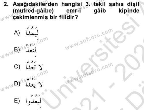 Arapça 2 Dersi 2021 - 2022 Yılı (Vize) Ara Sınavı 2. Soru