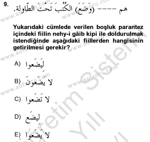 Arapça 2 Dersi 2021 - 2022 Yılı (Vize) Ara Sınavı 9. Soru