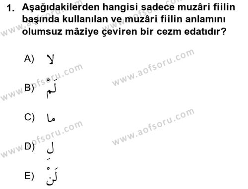 Arapça 2 Dersi 2021 - 2022 Yılı (Final) Dönem Sonu Sınavı 1. Soru