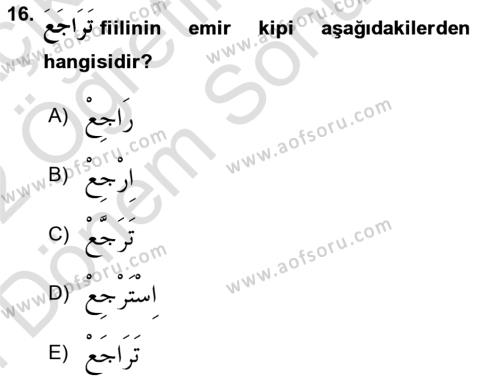 Arapça 2 Dersi 2021 - 2022 Yılı (Final) Dönem Sonu Sınavı 16. Soru